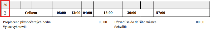Evidence pracovní doby - Sumarizace